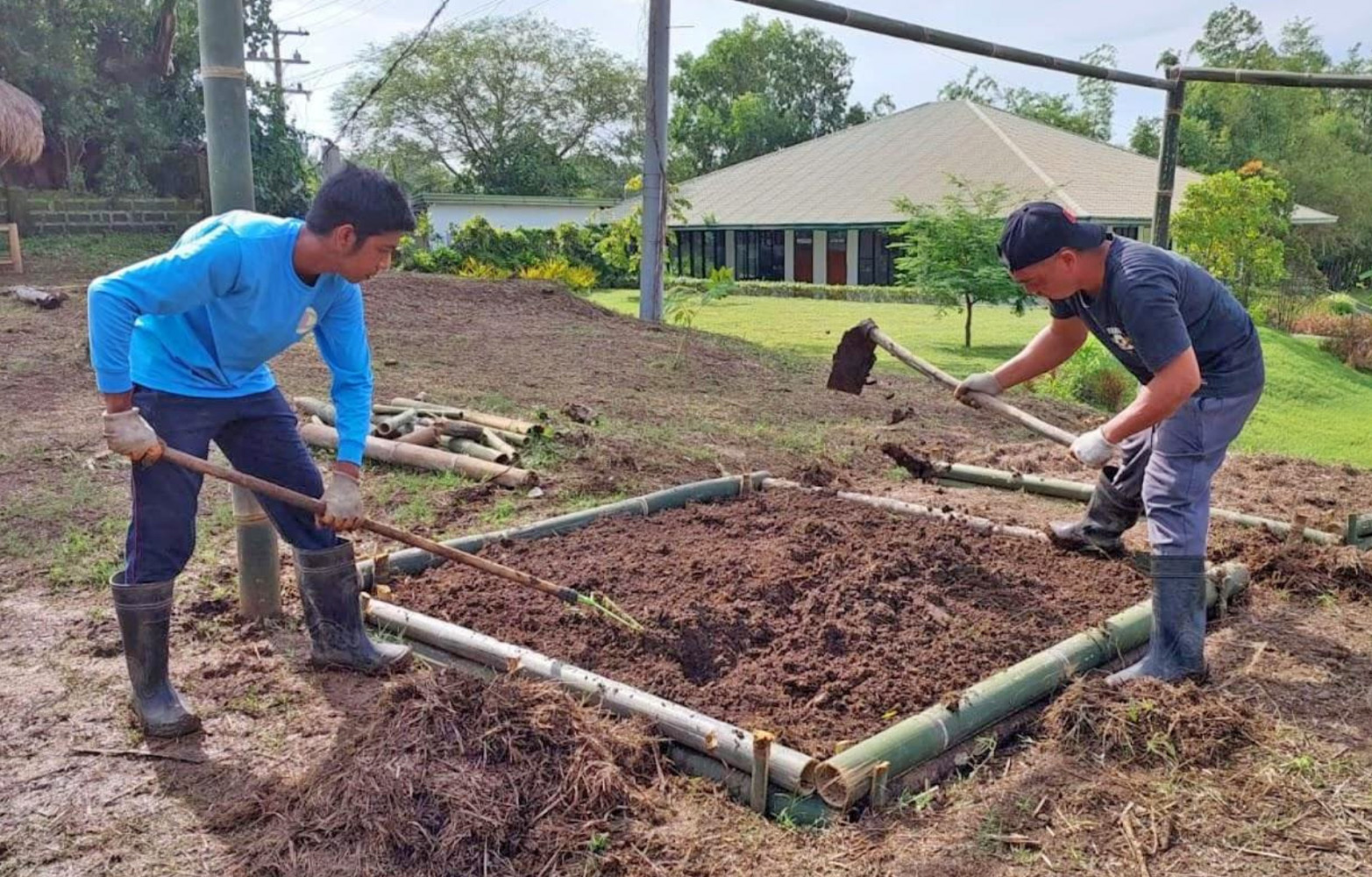 Preparation of additional Mahalina Farm Lab Pls for Seeding Futures participants. (MAHALINA FOUNDATION)