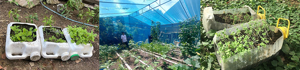 Communal garden of Brgy. Uno participants; Greenhouse and organic farming explorations by Dan and Nora of Brgy. Balitoc